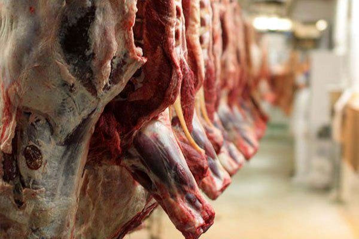 مدیرعامل اتحادیه دامداران عشایری: قیمت ۴۲۰ هزار تومان برای گوشت منطقی است