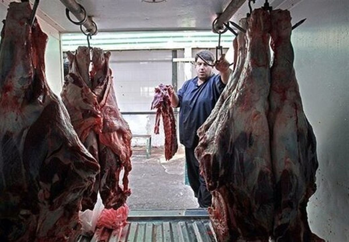 توزیع گوشت گوسفند روسی برای تنظیم بازار؛ قیمت: ۱۸۰ هزار تومان